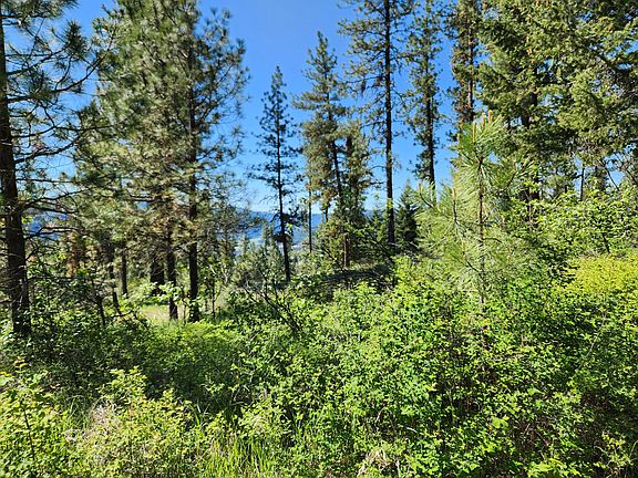 4th image of Gold Mountain Rd
