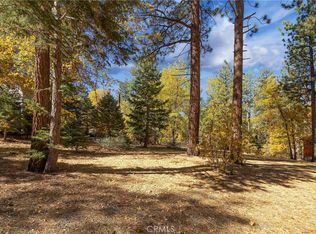 0 Ford Ln, Big Bear Lake, CA 92315