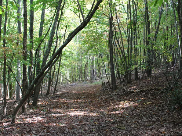 Tbd Sallings Mountain Rd, Glasgow, VA 24555