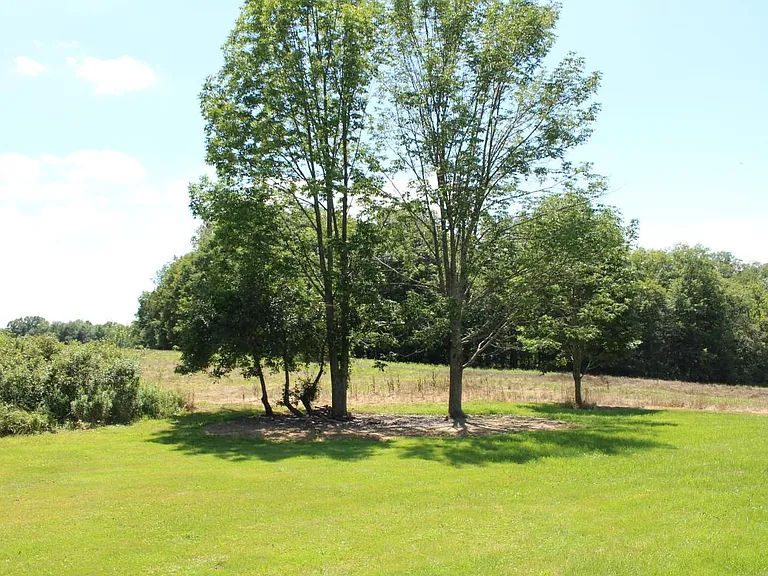 13553 Mayfield Rd — Photo 5