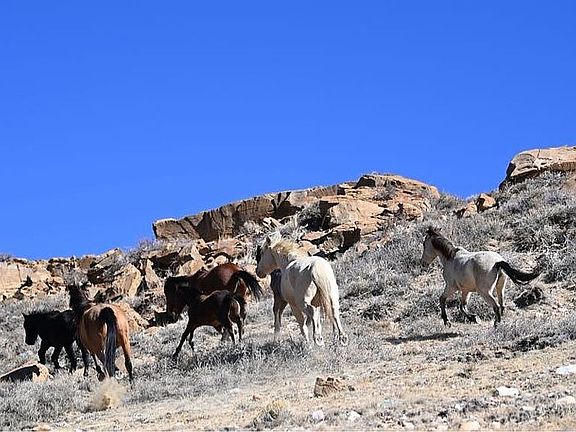 4th image of LOT 49 Wild Horse Ranch Rd