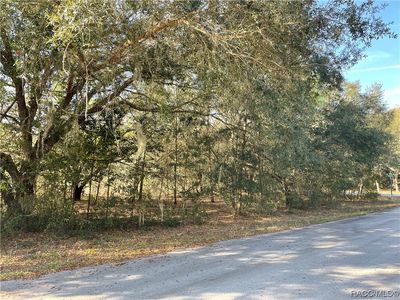 6198 W Peter Ln, Dunnellon, FL, 34433