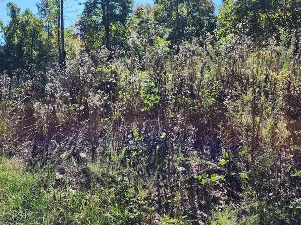 County Road 268 #4, Roanoke, AL 36274