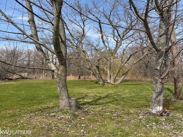 8542 Morris Rd, Goodells, MI 48027