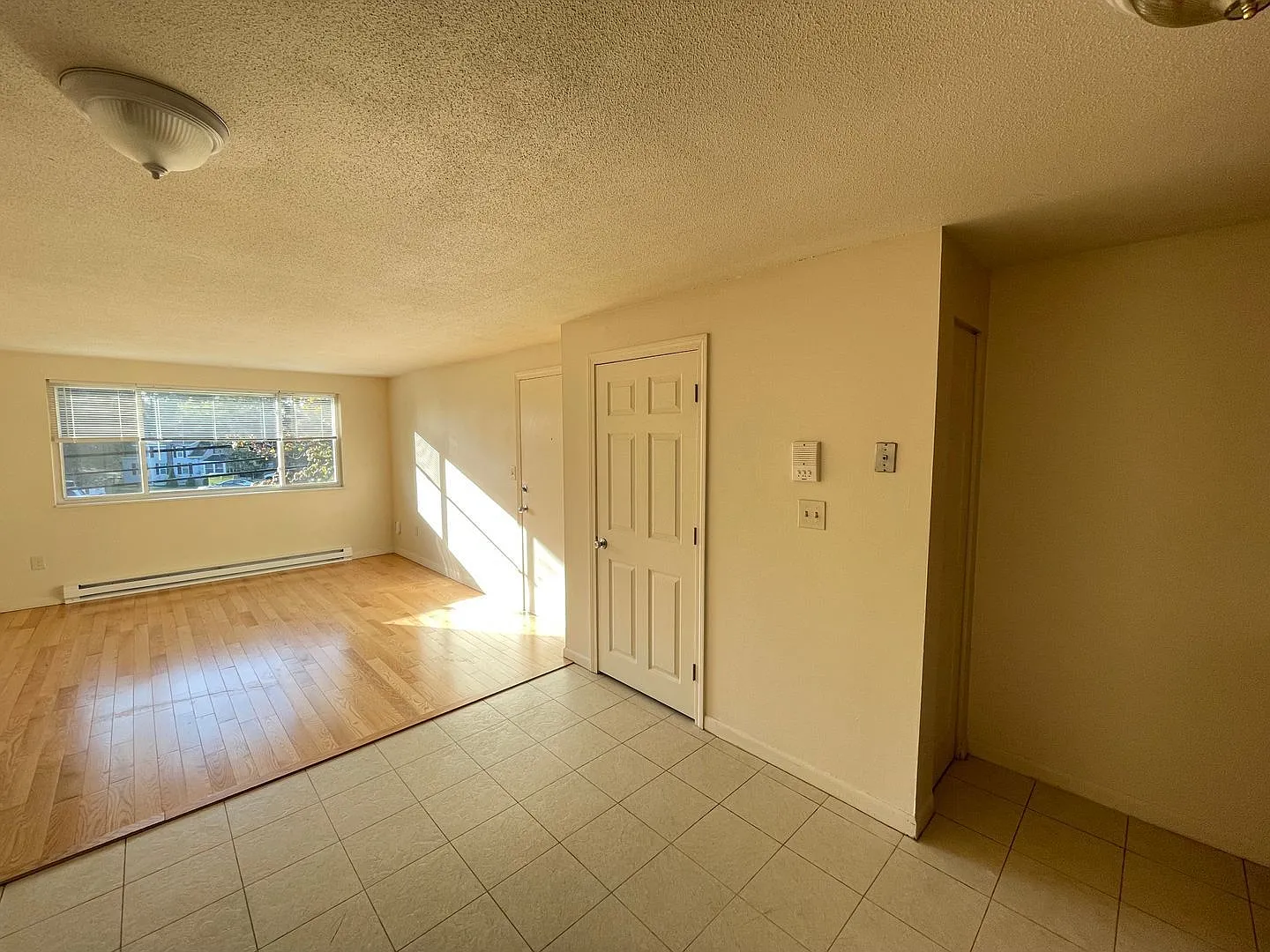 2 bed, 1.0 bath, 669 sqft, $1,650 — Photo 4
