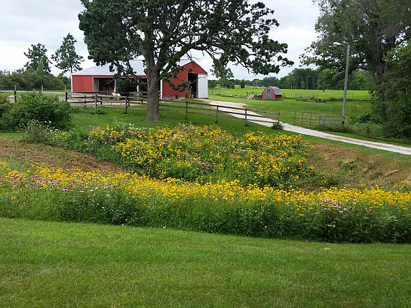 Prairie and horse barn