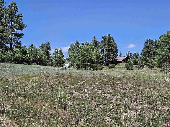 4th image of 336 Saddle Circle