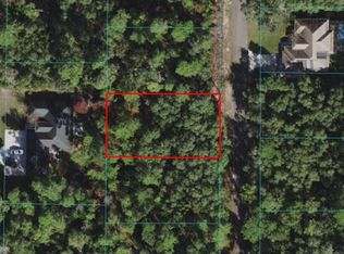 Bay Terrace Way, Ocklawaha, FL 32179