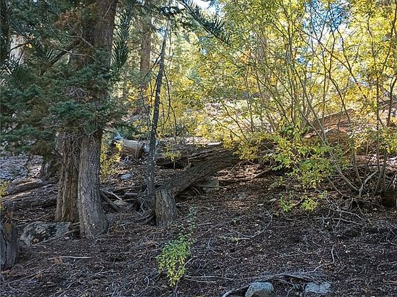 3rd image of 0 Cherry Ln #69
