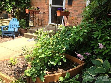 03 Entrance view from garden