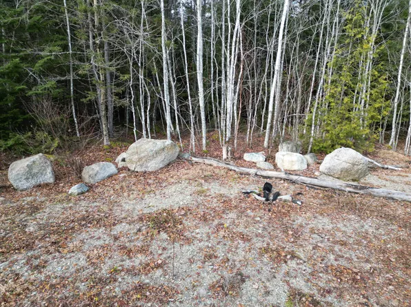 9 Upper Dobsis Road, Lakeville, ME 04487