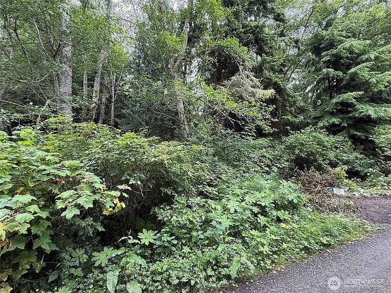 3rd image of 0 Hill Street