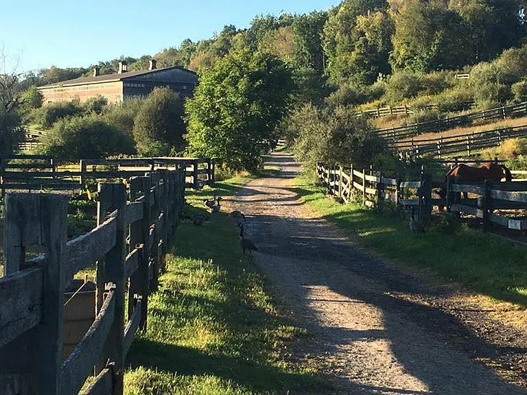 The Farm