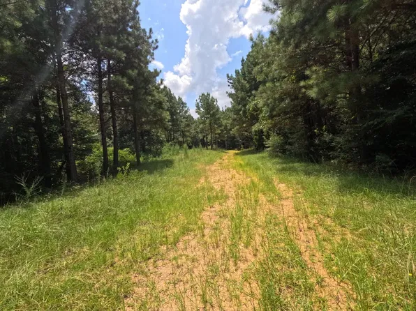 1120 Highway 28, Union Church, MS 39668