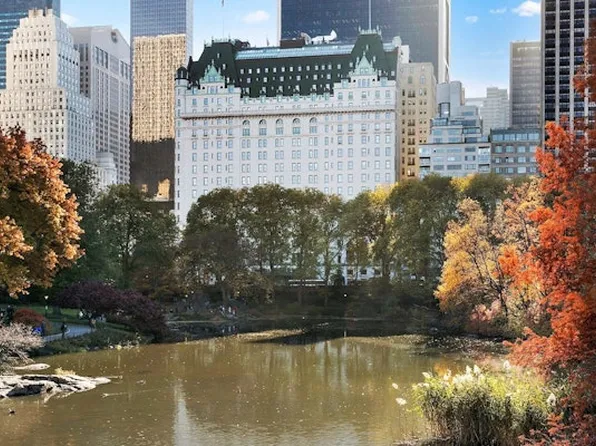 1 Central Park South image 13 of 18