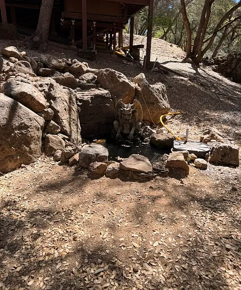 2330 Double O Mine Trl — Photo 18