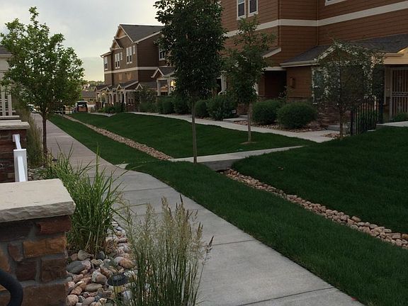 View from Front Porch