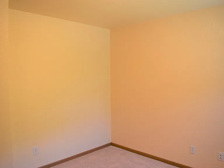 22545B Hollow Oak Ln — Photo 3