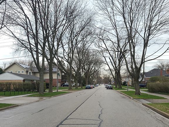 4th image of 9245 Menard Ave