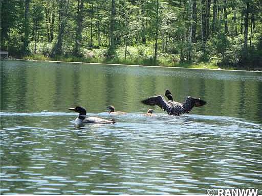 2nd image of Lot 1-5 Barker Lake Road