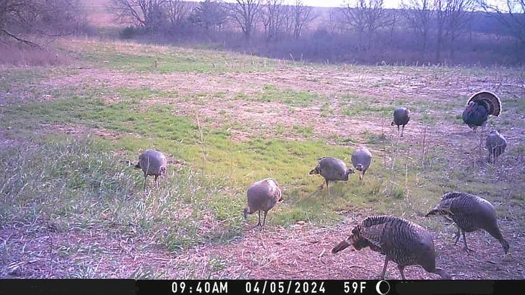 Dd Rd, Natoma, KS 67651 MLS 2471208 Zillow