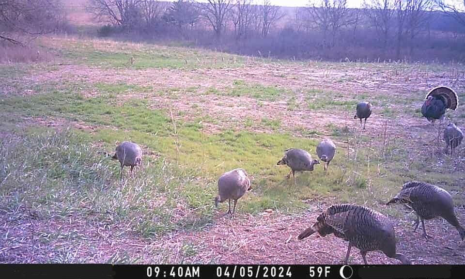 Dd Rd, Natoma, KS 67651 MLS 2471208 Zillow