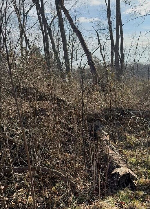 1st image of 0 Charles St