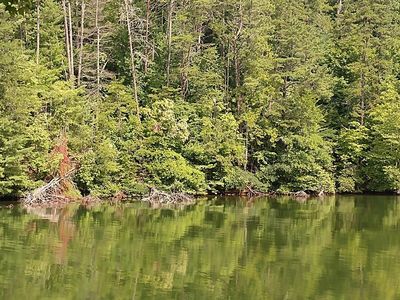 LOT 10 Lakeside Trl, Robbinsville, NC, 28771