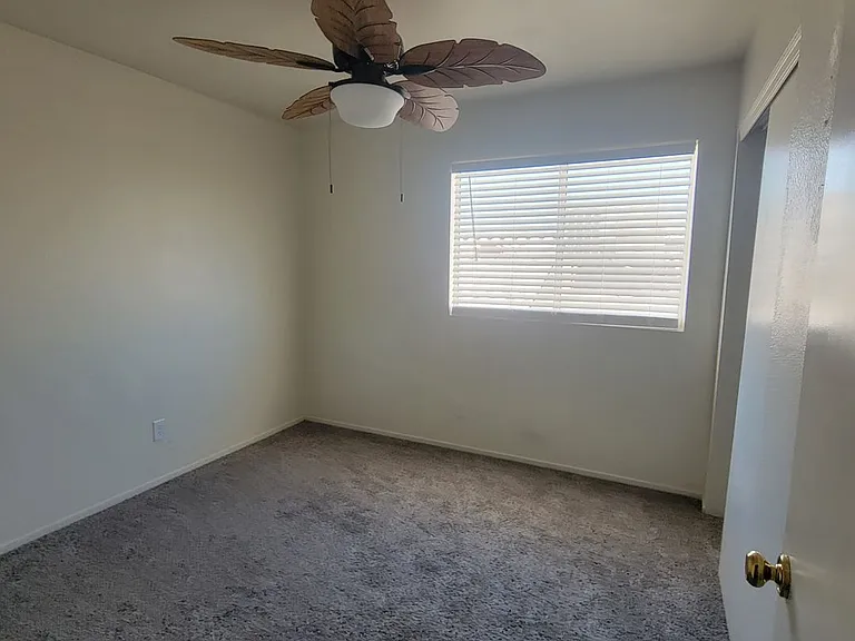 7321 Summer Sun Dr — Photo 15