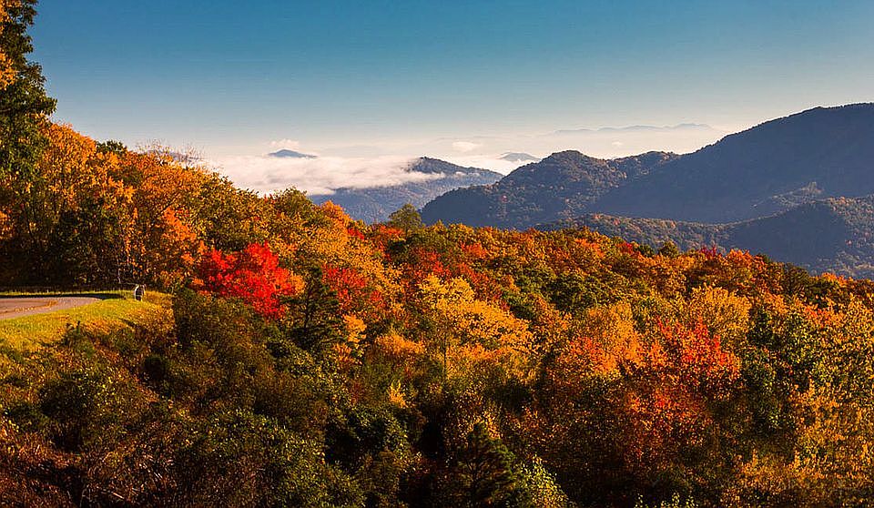  Beautiful nature views.