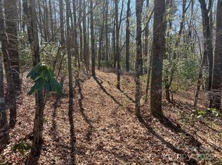 Panther Ridge Rd, Lake Toxaway, NC 28747