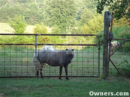 FENCED PASTURE FOR ANIMALS