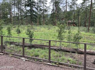 8 County Road 2070, Alpine, AZ 85920