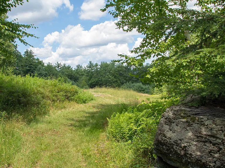 486 Ohayo Mountain Rd #2 — Photo 40