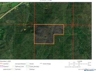 200AC/- Center Rd #35, Woodville, AL 35776
