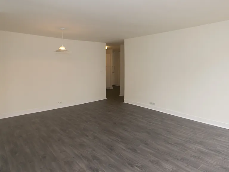 Dining/Living room