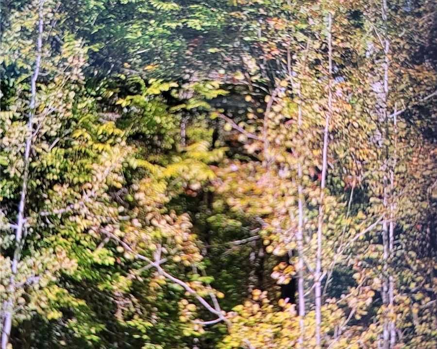 2nd image of 400 Lake Rd #250