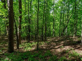 0 Long Branch Trl #11, Ranger, GA 30734