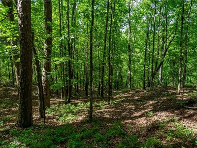 0 Long Branch Trl #11, Ranger, GA, 30734