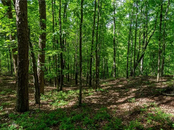 0 Long Branch Trl #11, Ranger, GA 30734