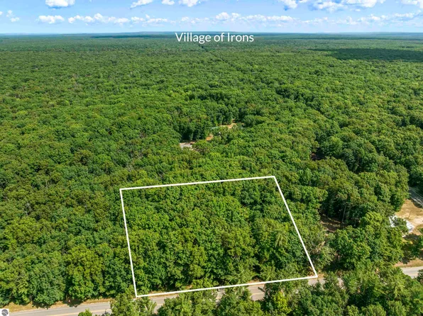 6098 W Nine Mile Rd, Irons, MI 49644