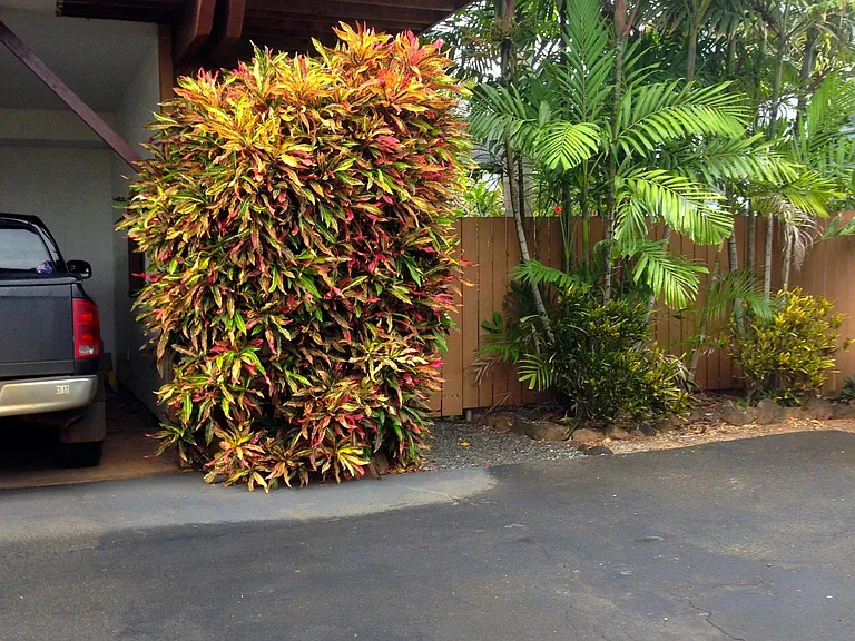 Kaiea Pl — Photo 3