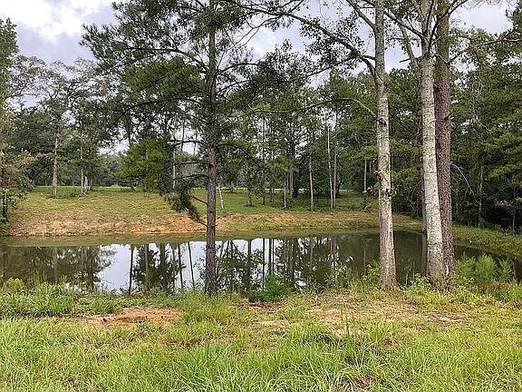 2nd image of 25593 Highway 57