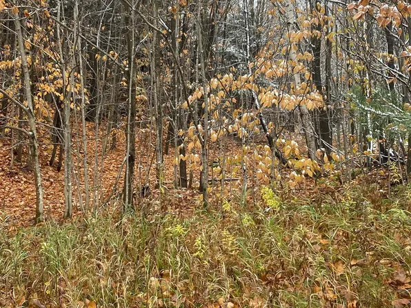 M67 High Way, Chatham, MI 49816