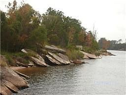 (82) plus acres available for General Commerical use, weekly & daily vistor's.