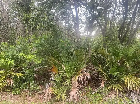 8488 N Ironwood Ter Lot 9, Crystal River, FL 34428