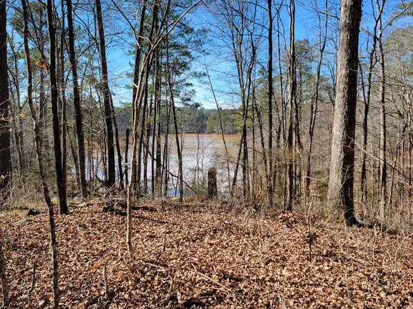 203 ROLLAND Place, McCormick, SC 29835