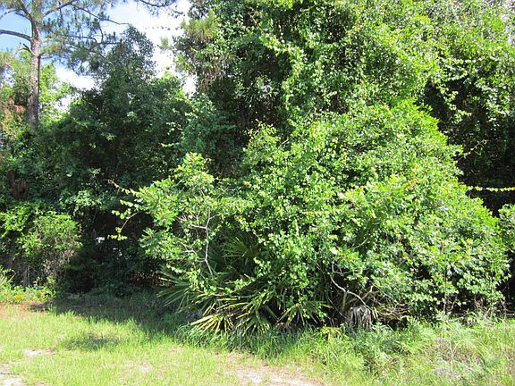 4th image of 0 Moss Hollow Dr