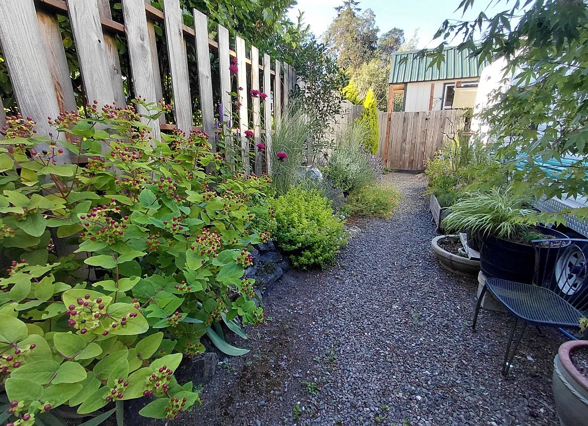 1 bed, 200 sqft, $975 — Photo 1