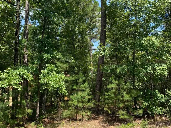 15 Promesa Ln, Hot Springs Village, AR 71909